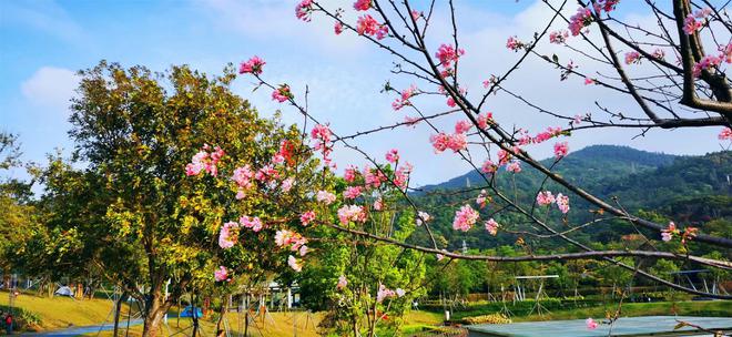 心灵振荡感悟生命：心灵疗愈之路(图2)