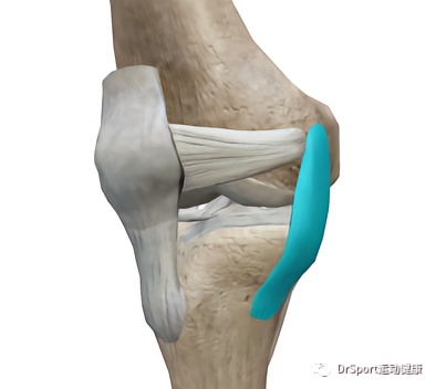 澳门人威尼斯官网运动科普：你真的了解膝关节吗？(图6)