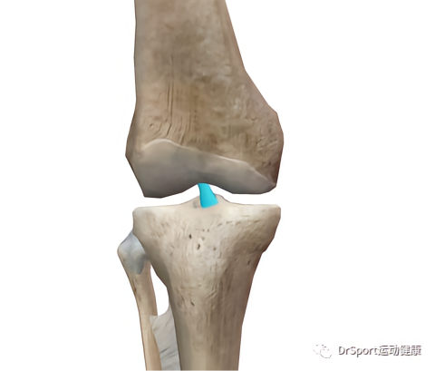 澳门人威尼斯官网运动科普：你真的了解膝关节吗？(图8)