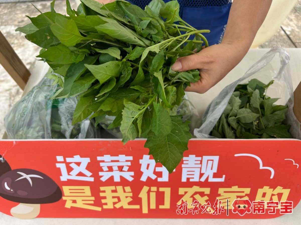 澳门人·威尼斯春节假期逐渐圆润？节后健康饮食运动指南来啦！(图5)