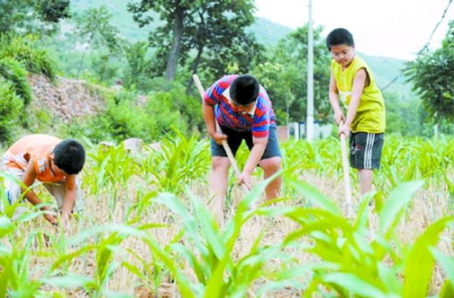 澳门人·威尼斯盘点国内户外夏令营活动内容旅行者的新航线！(图1)