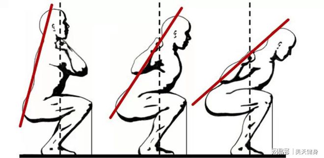 澳门人·威尼斯健身姿势总是不标准？大神教你记住这一点纠正90%的训练动作(图2)