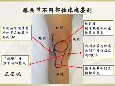 澳门人·威尼斯二十四节气·立秋×全民健身日 风清气爽动起来健康运动不伤身！(图1)